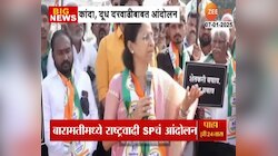 VIDEO| कांदा, दूध दरवाढीबाबत राष्ट्रवादी SP चे आंदोलन