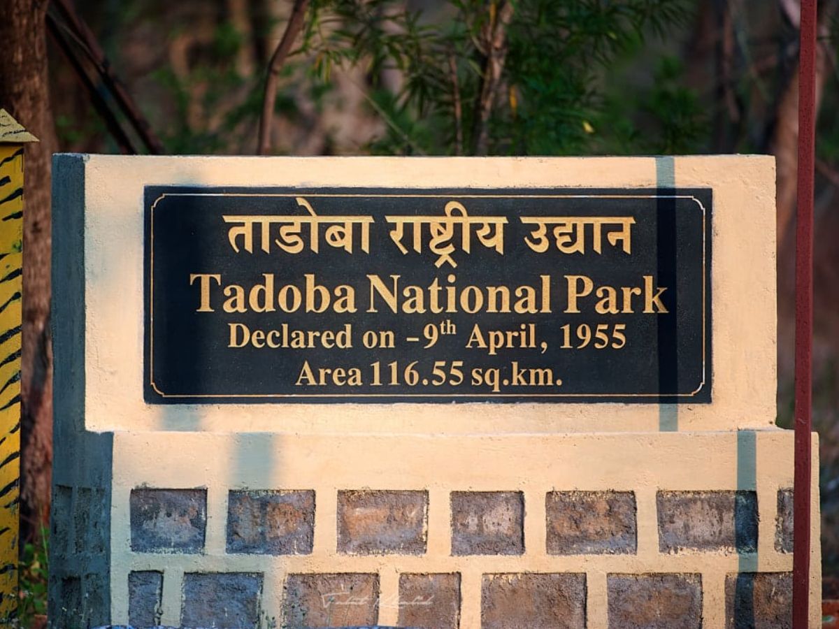 Tadoba Andhari Tiger Reserve know the history behind name taru dev