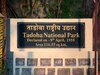 'या' व्यक्तीच्या नावावरुन ठेवण्यात आलंय ताडोबा-अंधारी अभयारण्याचे नाव; वाचा रंजक इतिहास