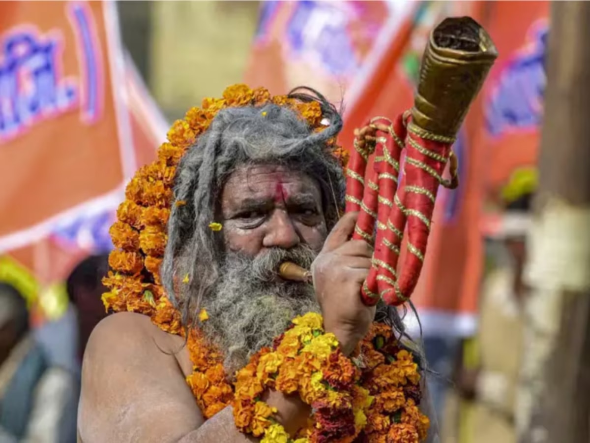 Maha Kumbh 2025: कोण असतात 'तंगटोडा साधू'? ज्याची मुलाखत IAS पेक्षाही असते अवघड, जाणून घ्या प्रोसेस  title=