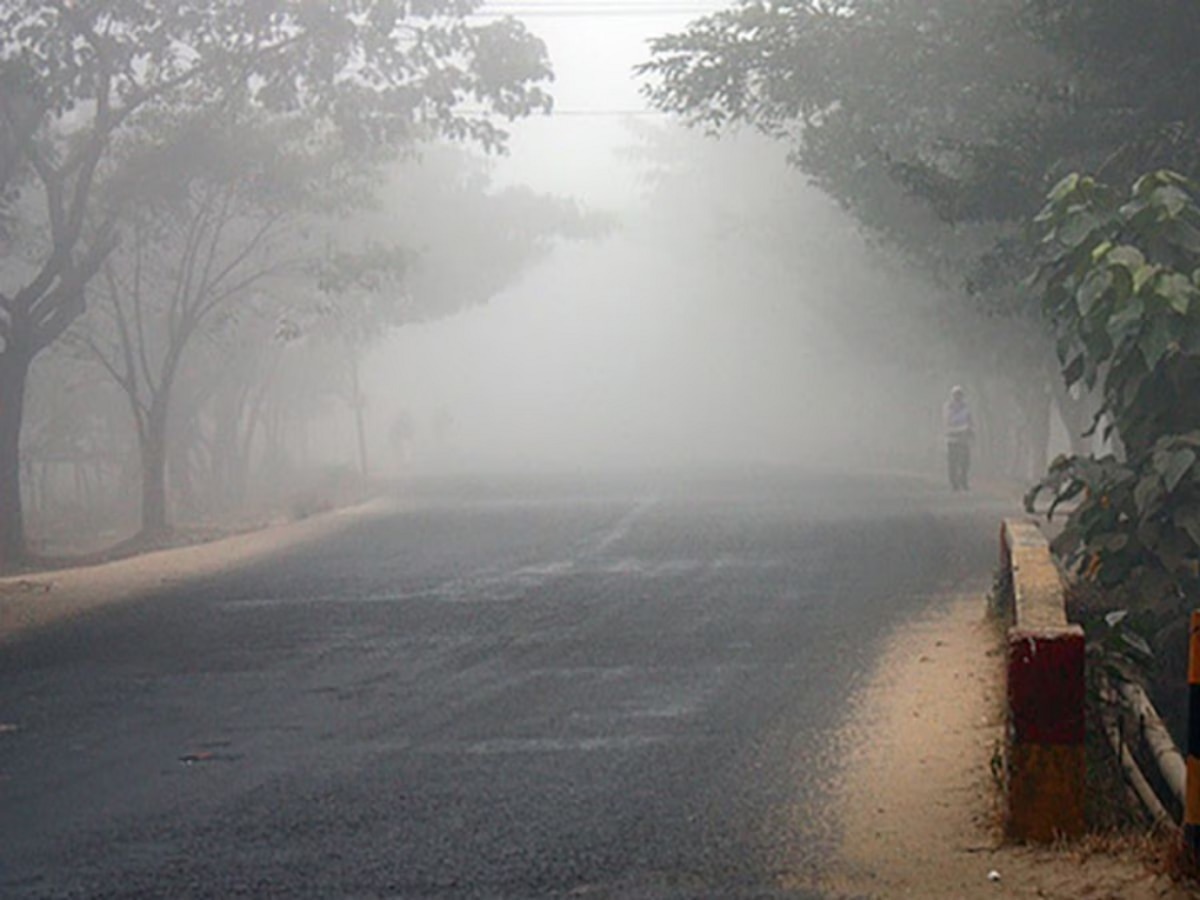 Maharashtra Weather News : थंडीतही पावसाचीच सरशी; राज्याच्या कोणत्या भागांवर ढगाळ वातावरणाचं सावट?  title=