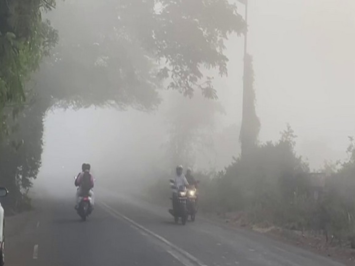 Maharashtra Weather : राज्यात अनेक भागात पावसाची शक्यता -IMD  title=