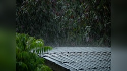 Maharashtra Weather News : उत्तरेकडील पावसाचा महाराष्ट्रावर असाही परिणाम; राज्यात अनपेक्षित हवामान बदल, पाहा सविस्तर वृत्त... 