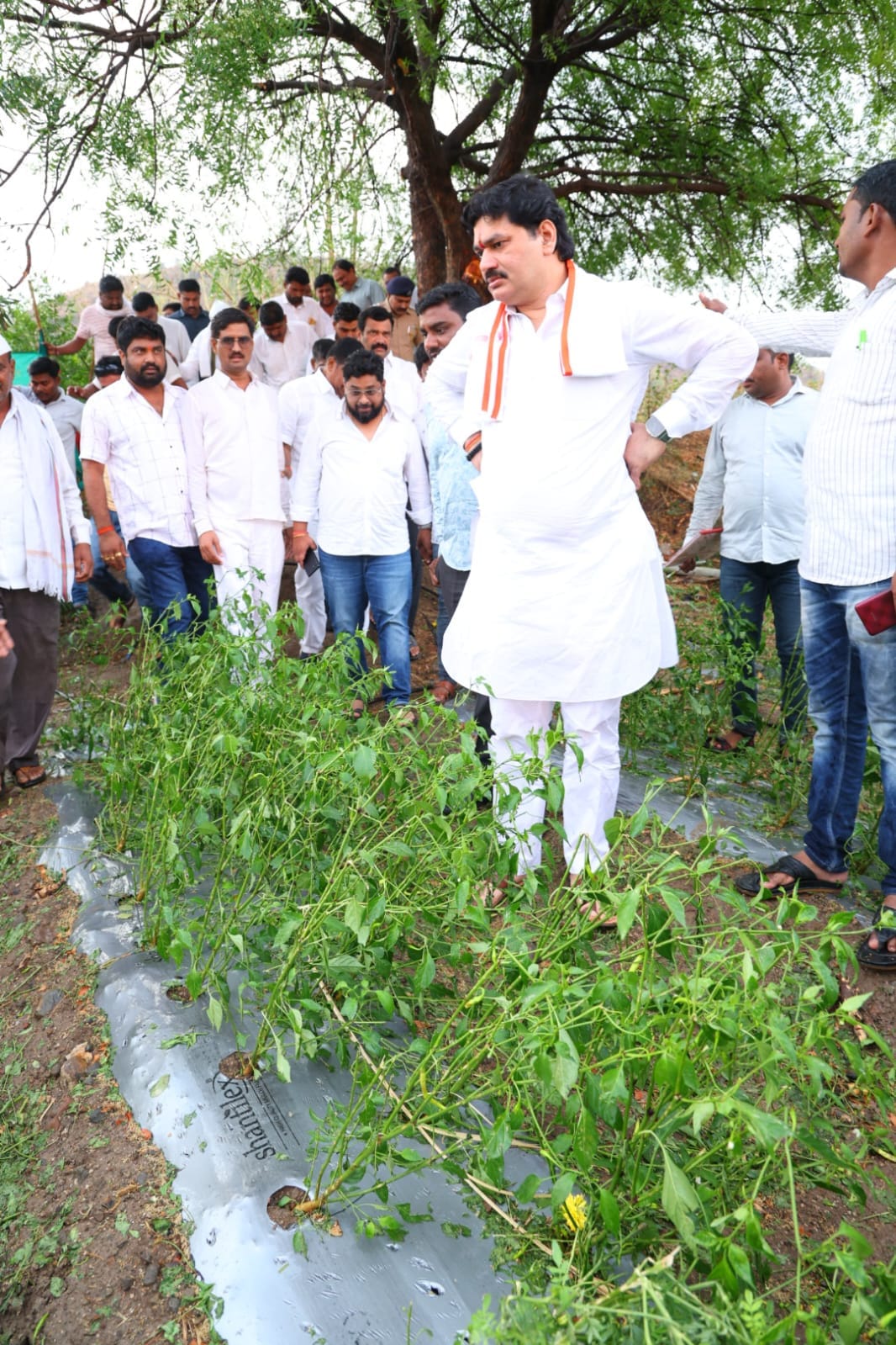 dhananjaymunde