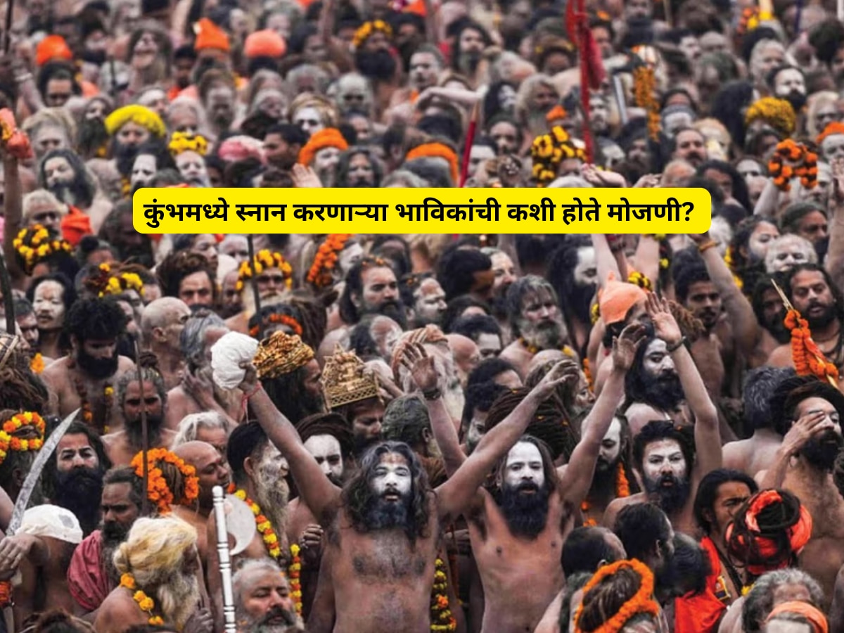 Mahakumbh 2025 devotee Counted help of CCTV camera AI software