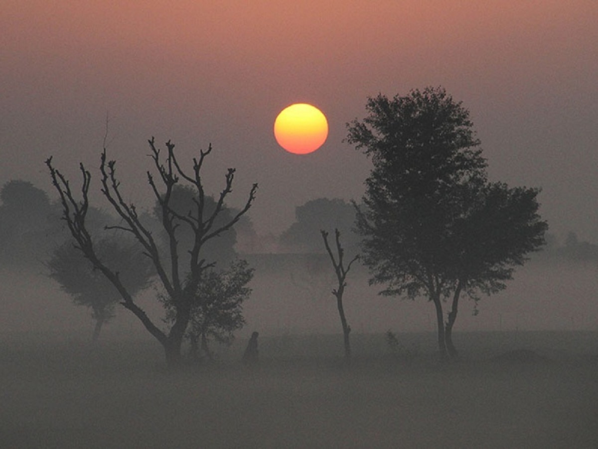 थंडीनं मारली दडी, आठवडी सुट्ट्यांच्या मुहूर्तावर कसं असेल राज्यातील हवामान? पाहा सविस्तर वृत्त  title=