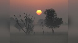 थंडीनं मारली दडी, आठवडी सुट्ट्यांच्या मुहूर्तावर कसं असेल राज्यातील हवामान? पाहा सविस्तर वृत्त 