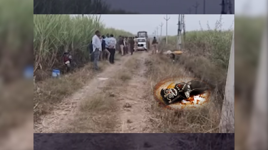 फलटण हादरलं! उसाच्या शेतात सापडला महिलेचा अर्धवट मृतदेह, कंबरेवरील भाग गायब; शेजारीच काळी बाहुली अन्...