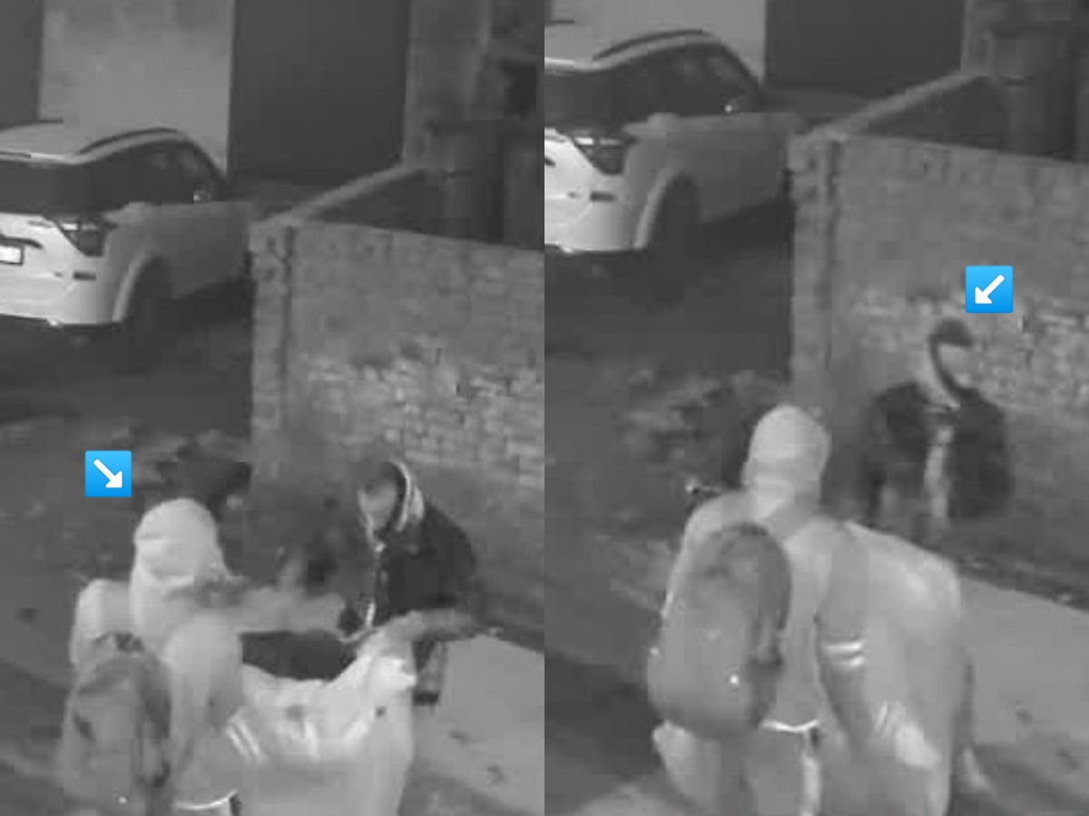 व्यापाऱ्याच्या घरातून 7 लाखांचा मुद्देमाल चोरीला; पण त्यात सोनं, चांदी नव्हे; जे चोरलं ते ऐकून पोलिसांनीही डोक्याला लावला हात व्यापाऱ्याच्या घरातून 7 लाखांचा मुद्देमाल चोरीला; पण त्यात सोनं, चांदी नव्हे; जे चोरलं ते ऐकून पोलिसांनीही डोक्याला लावला हात