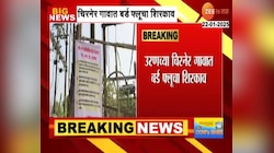 Bird Flue Outbreak: उरणमधील चिरनेर गावात बर्ड फ्लूचा शिरकाव