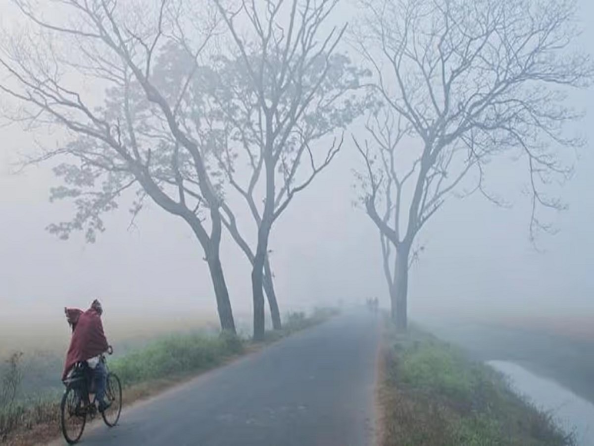 महाराष्ट्राच्या हवामानात ध्यानीमनीही नसतील इतके बदल; पुढील 24 तासांमध्ये राज्यात नेमकं काय होणार? title=