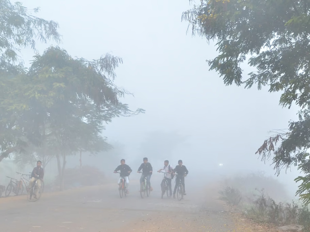 सकाळी गारवा आणि दुपारी उन्हाचा तडाखा...  IMD ने सांगितला हवामानाचा अंदाज  title=