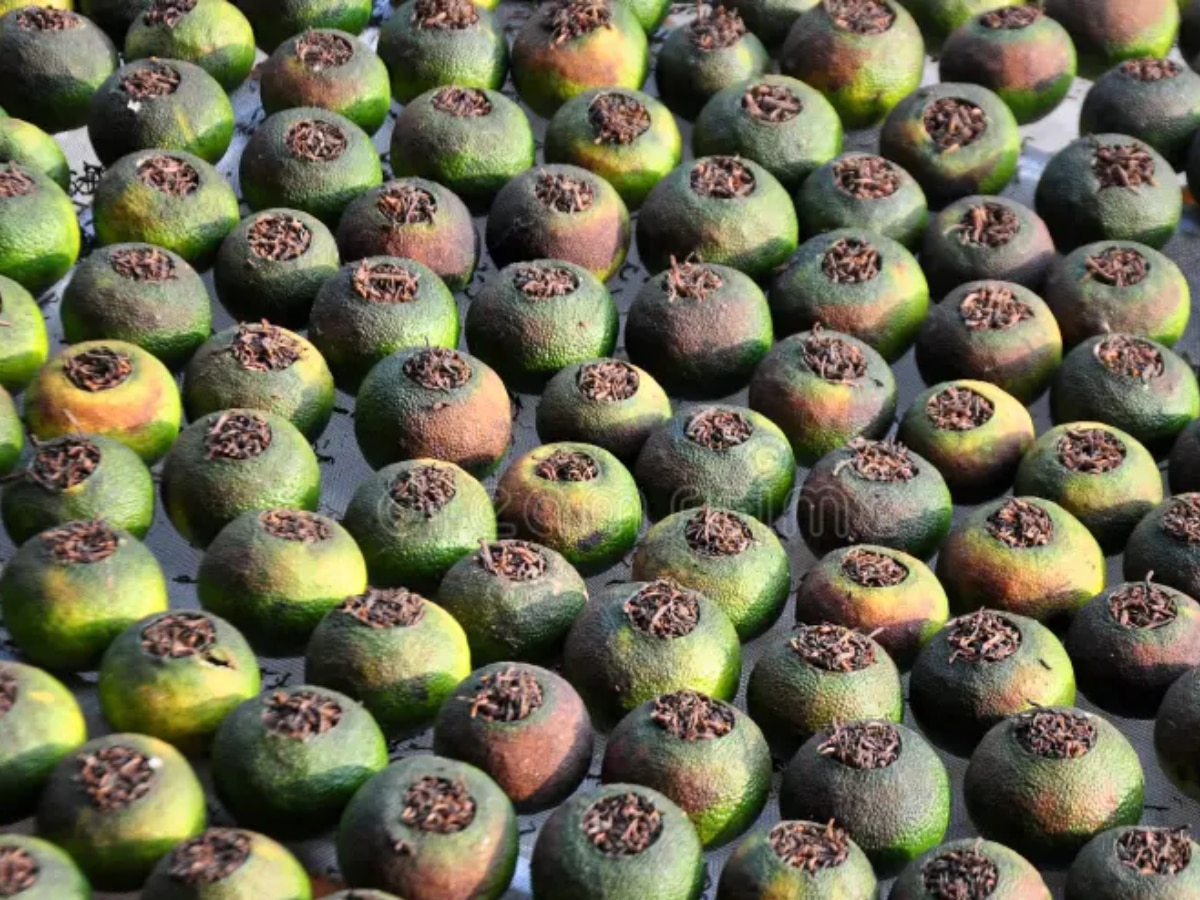 World Expensive Tree tangerine peel in Xinhui city uses Purpose