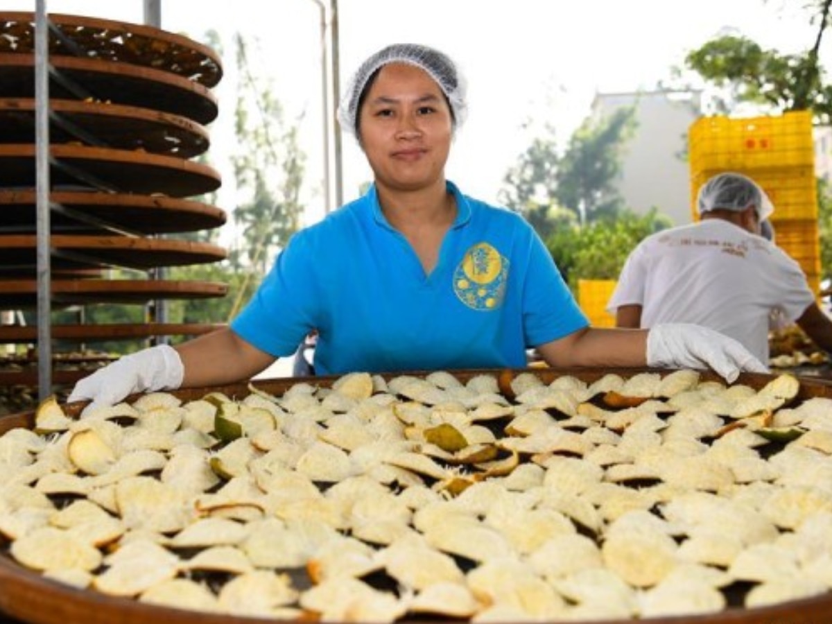 World Expensive Tree tangerine peel in Xinhui city uses Purpose