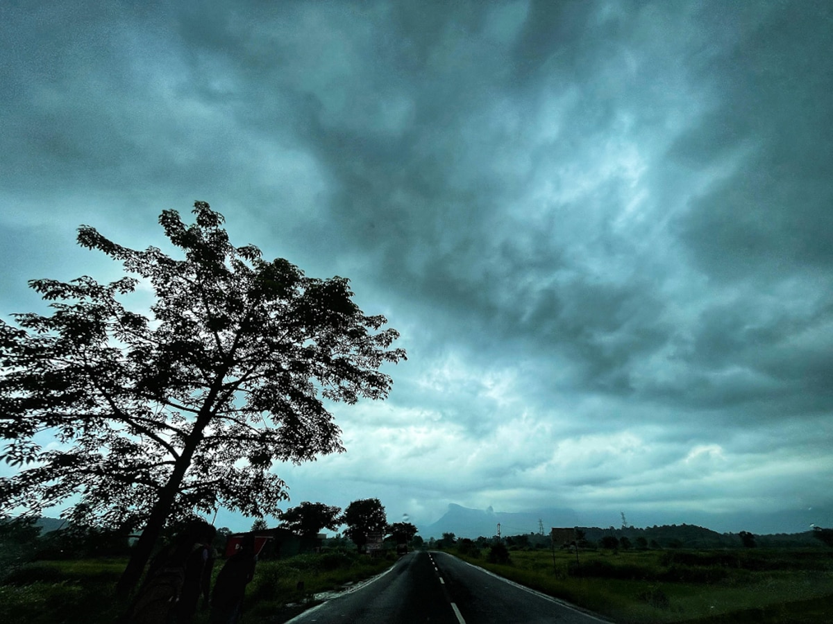 Maharashtra Weather News : राज्यावर एकाएकी पावसाचं सावट; विचित्र हवामानापुढं सगळ्यांनीच मानली हार  title=