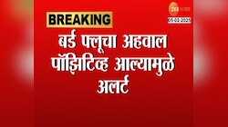 ब्रम्हपुरी तालुक्यातील मांगली गावात बर्ड फ्लूमुळे अलर्ट झोन 