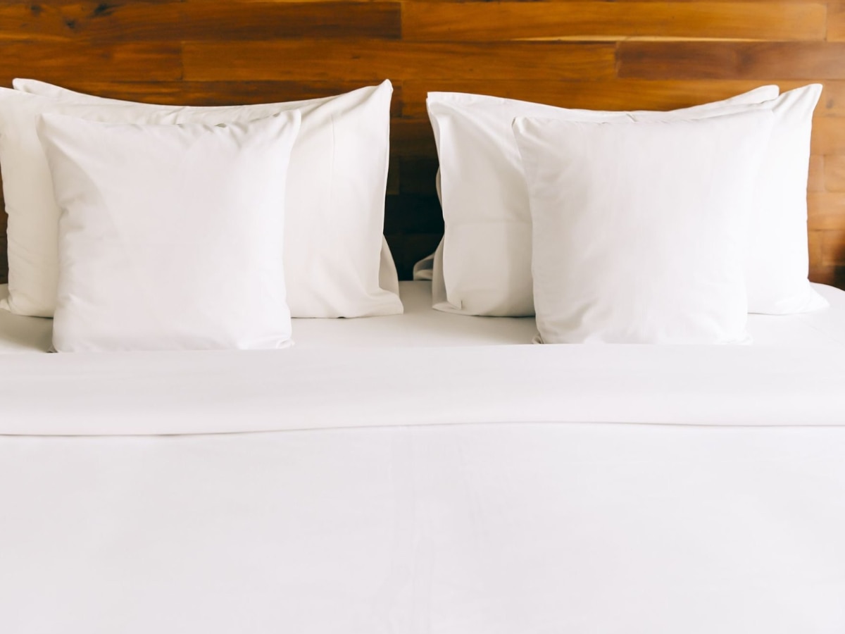 Why hotel room bed sheets is always white Marathi News