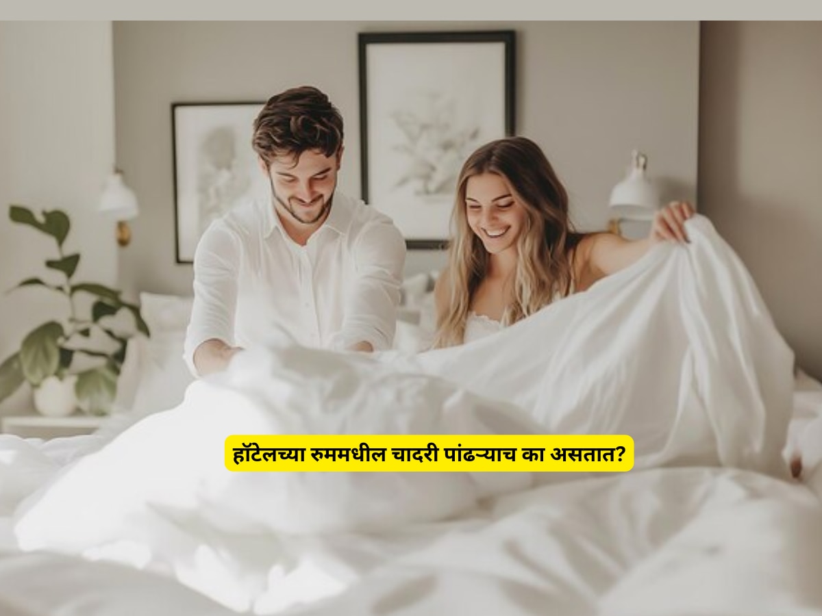 Why hotel room bed sheets is always white Marathi News