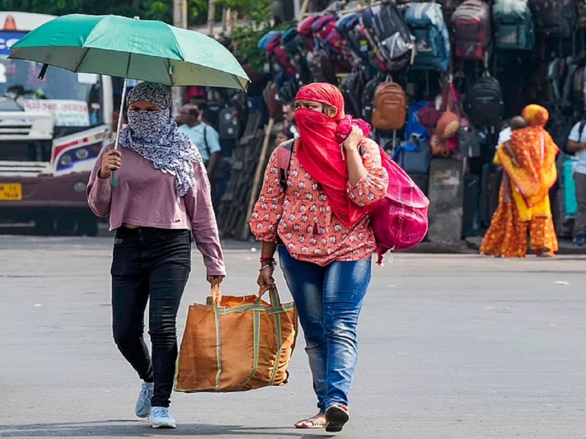 Maharashtra Weather News : छत्री वापरा पण, पावसासाठी नव्हे तर उन्हासाठी; राज्याच्या कोणत्या भागांमध्ये उष्णतेची लाट? title=