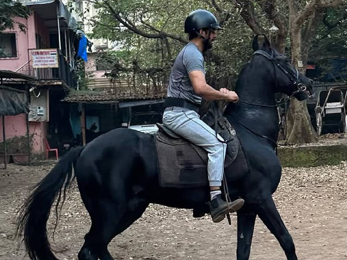 डॉक्टरकी सोडून अभिनय क्षेत्र निवडले, 20 वर्षांच्या कारकि‍र्दीत मिळाली नाही ओळख, 'छावा'ने नशीब बदललं title=