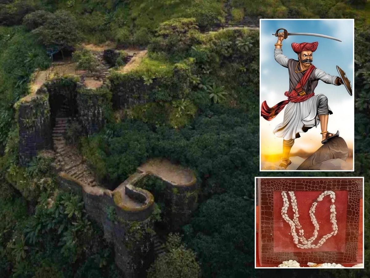 Today in History : मालुसरे कुटुंबाच्या नवरदेवाच्या गळ्यात का घातली जाते कवड्याची माळ?; थेट छत्रपती शिवाजी महाराजांशी संबंध  title=