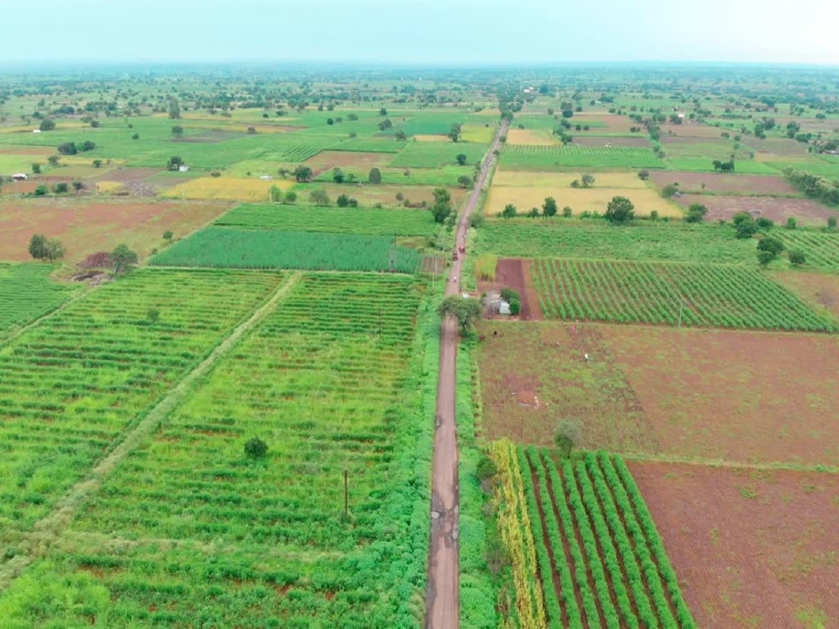 जमीन खरेदी विक्रीत अडथळा ठरणारा तुकडाबंदी कायदा रद्द होणार? महाराष्ट्र सरकारच्या मोठा निर्णय घेणार