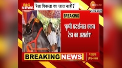 Video : कृषी प्रदर्शनात एकच रेडा का असतो? चंद्रकांत पाटील