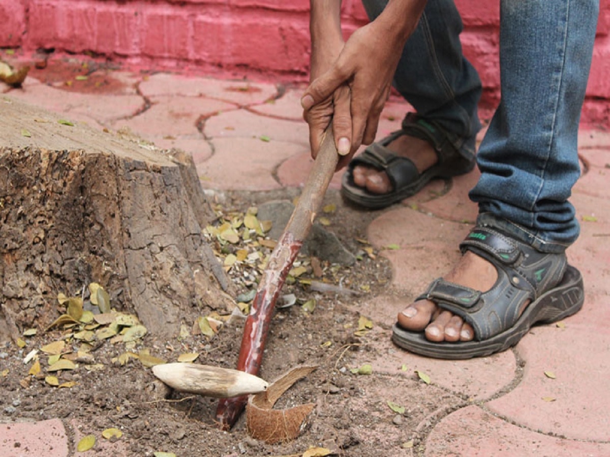 Sports Mahakumbh in Maharashtra Grand competition of 12 traditional sports of Maharashtra in Nashik