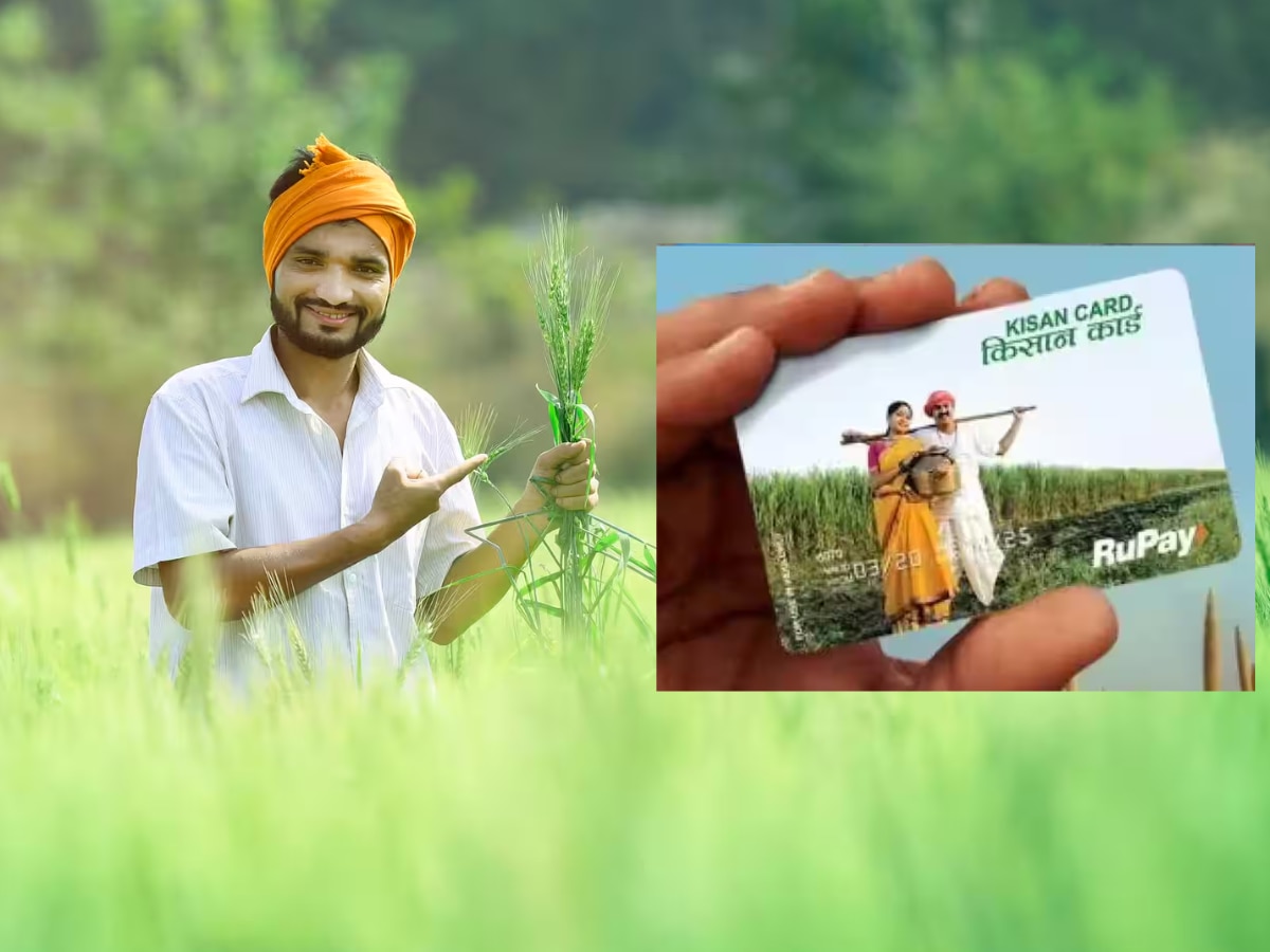 How to Make Farmer ID What Documents Needed Know Complete Details|देशातील  कोट्यवधी शेतकऱ्यांसाठी का महत्वाचा झालाय फार्मर आयडी? बनवायचा कसा? जाणून  घ्या!|Zee 24 Taas