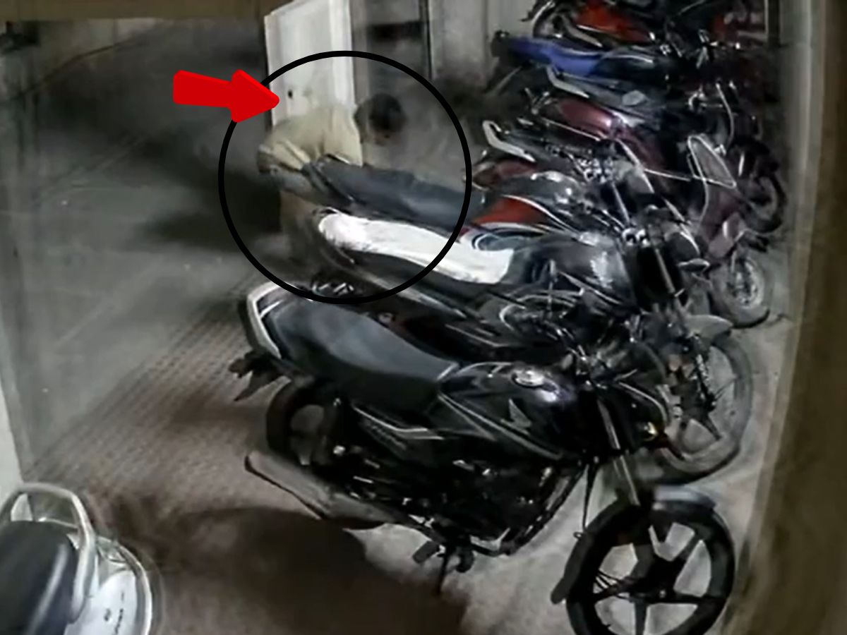 पिंपरी-चिंचवडमध्ये घडलं असं काही की आईनेच मुलाला पोलिसांच्या ताब्यात दिले, सोसायटीतील पार्किंगमध्ये