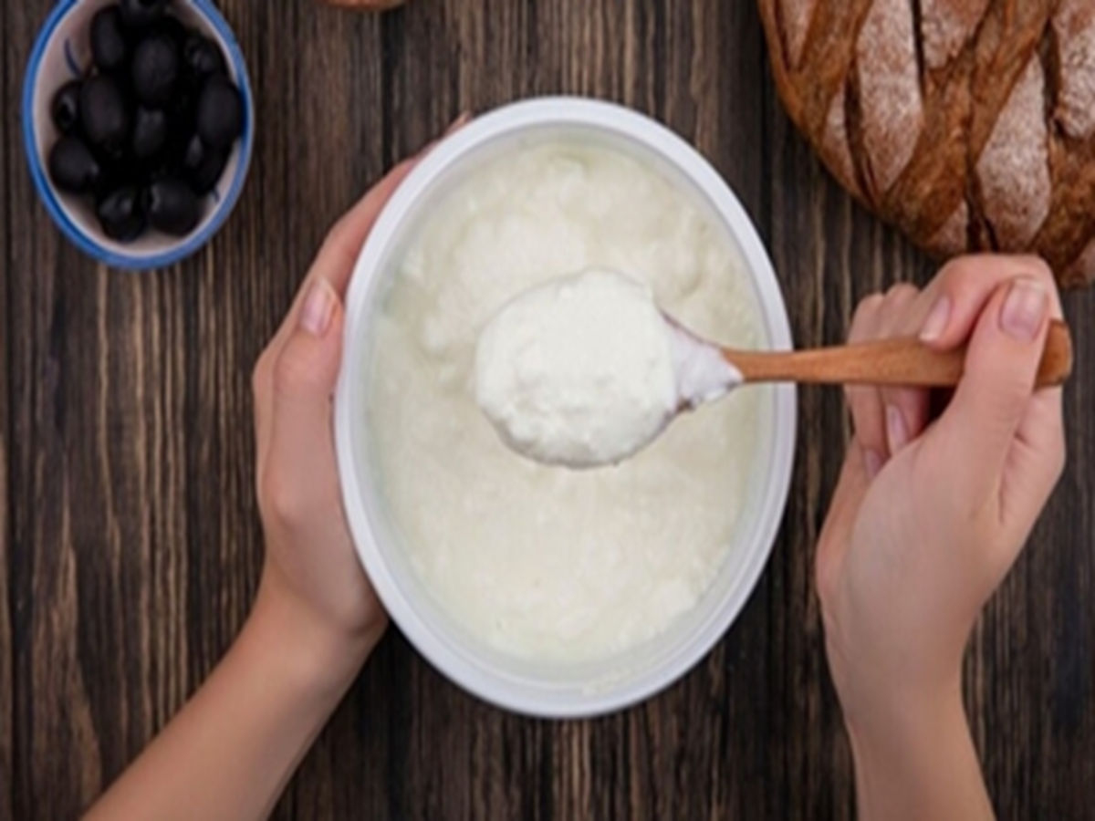 Curd Benefits : 90 टक्के लोक करतात दही खाताना चूक! दही खाण्याची योग्य पद्धत जाणून घ्या तज्ज्ञांकडून Curd Benefits : 90 टक्के लोक करतात दही खाताना चूक! दही खाण्याची योग्य पद्धत जाणून घ्या तज्ज्ञांकडून