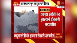 Farmers News | शेतकऱ्यांची अडचण वाढणार; सीसीआयने कापूस खरेदी गुंडाळली 