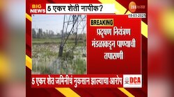 'कंपनीतील रसायनयुक्त पाण्यामुळे शेतजमीन नापीक'- भंडाऱ्यातील शेतकऱ्यांचा स्टील कंपनीवर आरोप 
