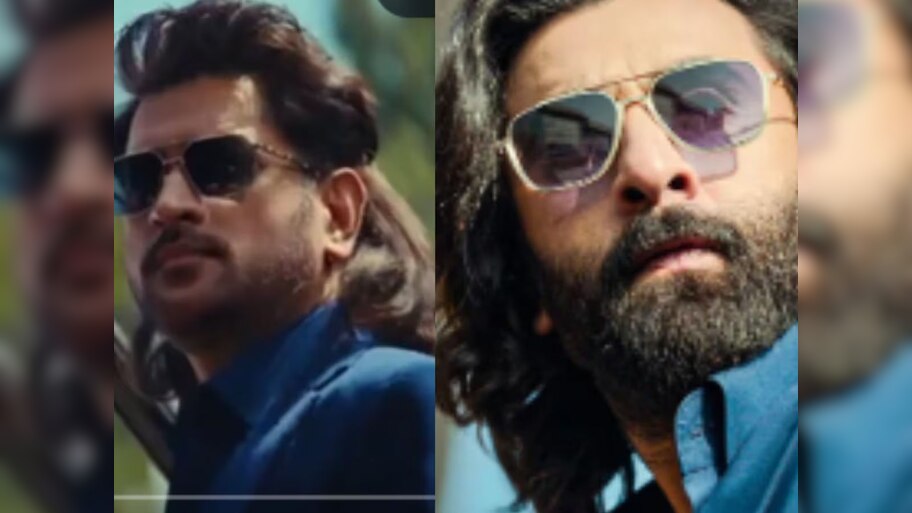 धोनीचा 'अ‍ॅनिमल' लूक पाहून नेटकरी सैराट, संदीप वांगा रेड्डीसोबतची जाहिरात तुफान VIRAL