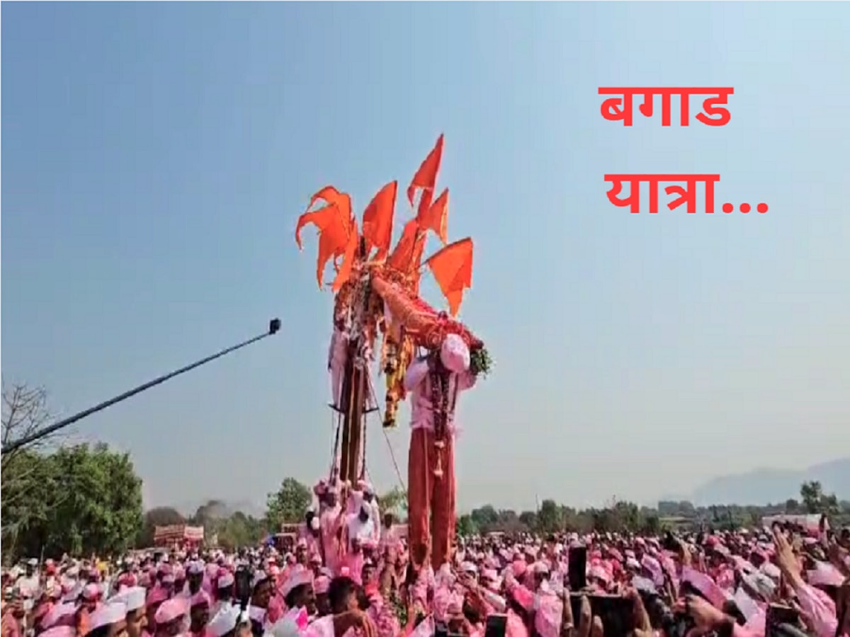 भैरवनाथाच्या नावानंsss चांगभलंsss! बावधनमध्ये बगाड यात्रेचा उत्साह, कसा ठरतो बगाड्या? काय आहे महत्त्वं?