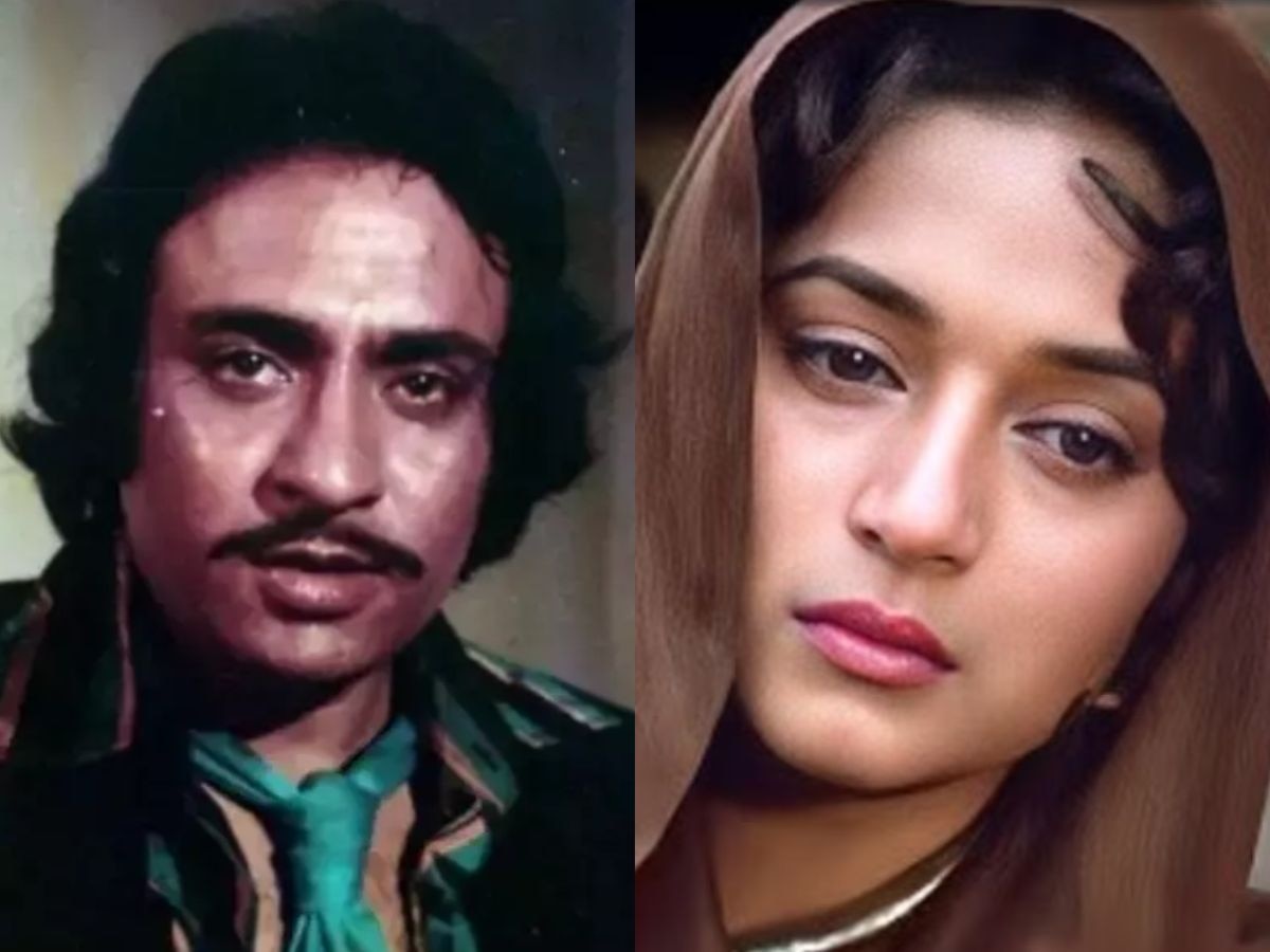 'मी माधुरीला ठेल्यावर टॉर्चर केलं!' खलनायकानं सांगितला विनयभंगाच्या सीनचा किस्सा; म्हणाला, 'ती खूप...'