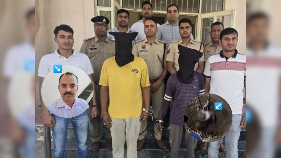 भाडेकरुला 7 फूट खोल खड्ड्यात जिवंत गाडलं, तीन महिन्यांनी उघड झालं रहस्य; कारण ऐकून पोलीस हादरले