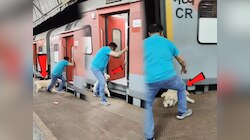 कुत्र्यासहीत धावती ट्रेन पकडायला गेला अन्...; घडलेला प्रकार पाहून लोक म्हणाले, 'कायमचा जेलमध्ये टाका'