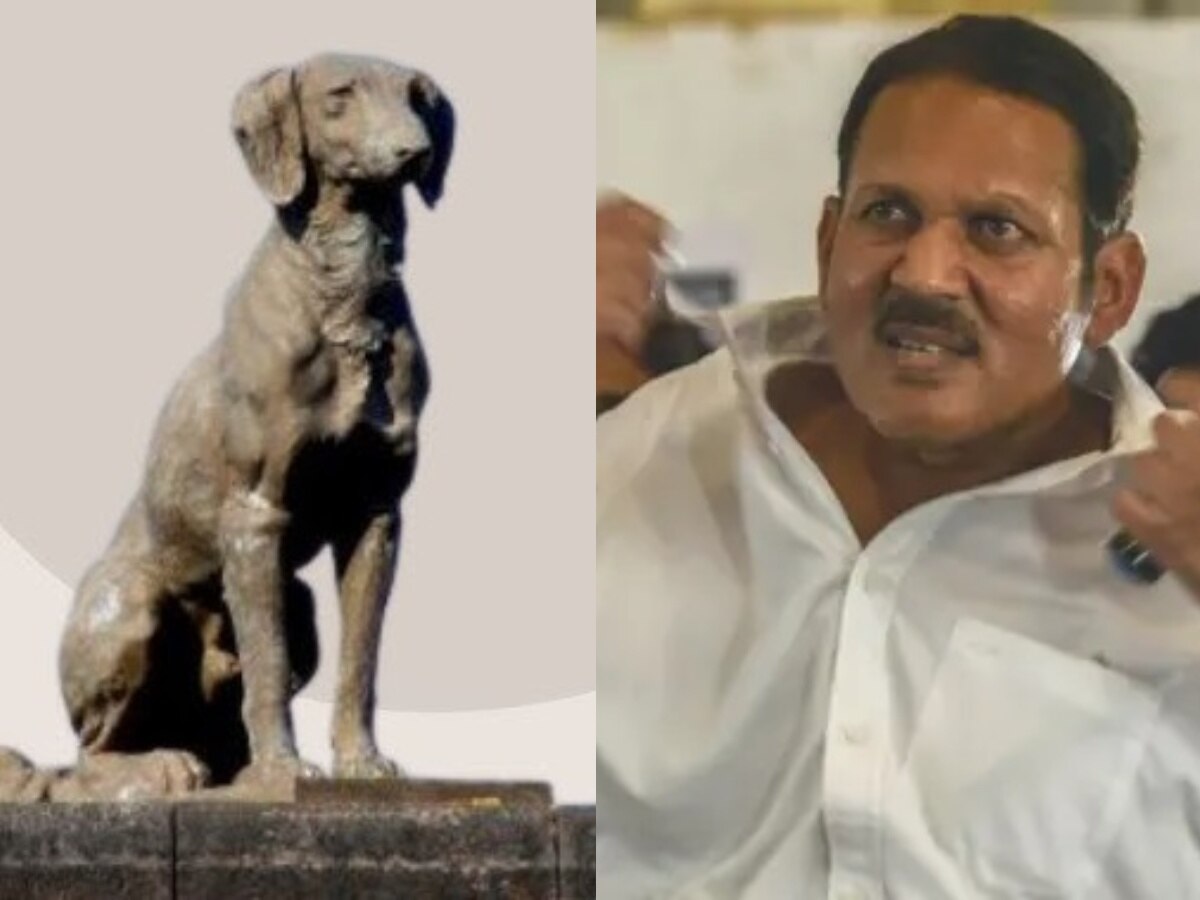 BJP MP Udayanraje Bhosle on Waghya Dog Statue on Raigad | 'रायगडावरचा ...