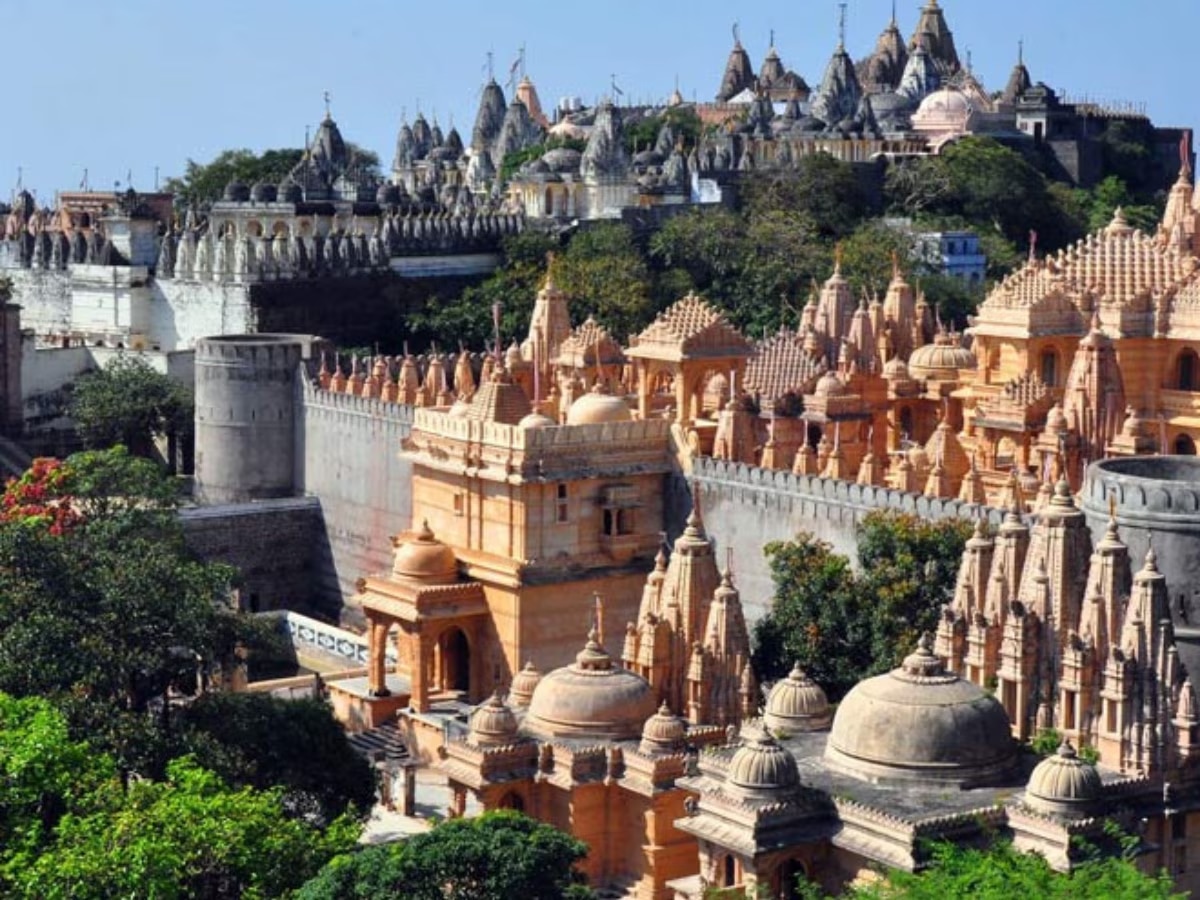शत्रुंजय टेकड्यांवर 800 हून अधिक मंदिरे Indias Vegertarian City Where Non Veg Is Banned Palitana Marathi News