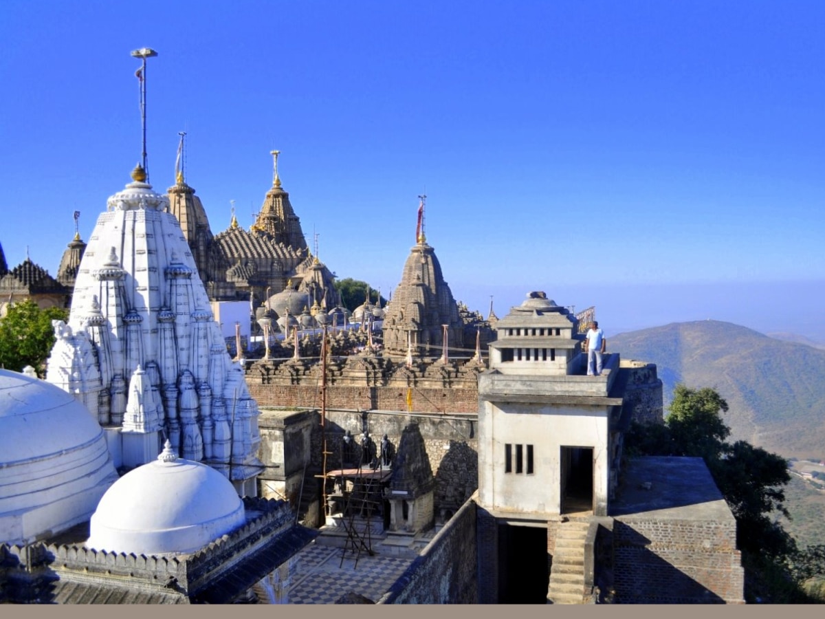 मांस किंवा अंडी विकण्यासही बंदी Indias Vegertarian City Where Non Veg Is Banned Palitana Marathi News
