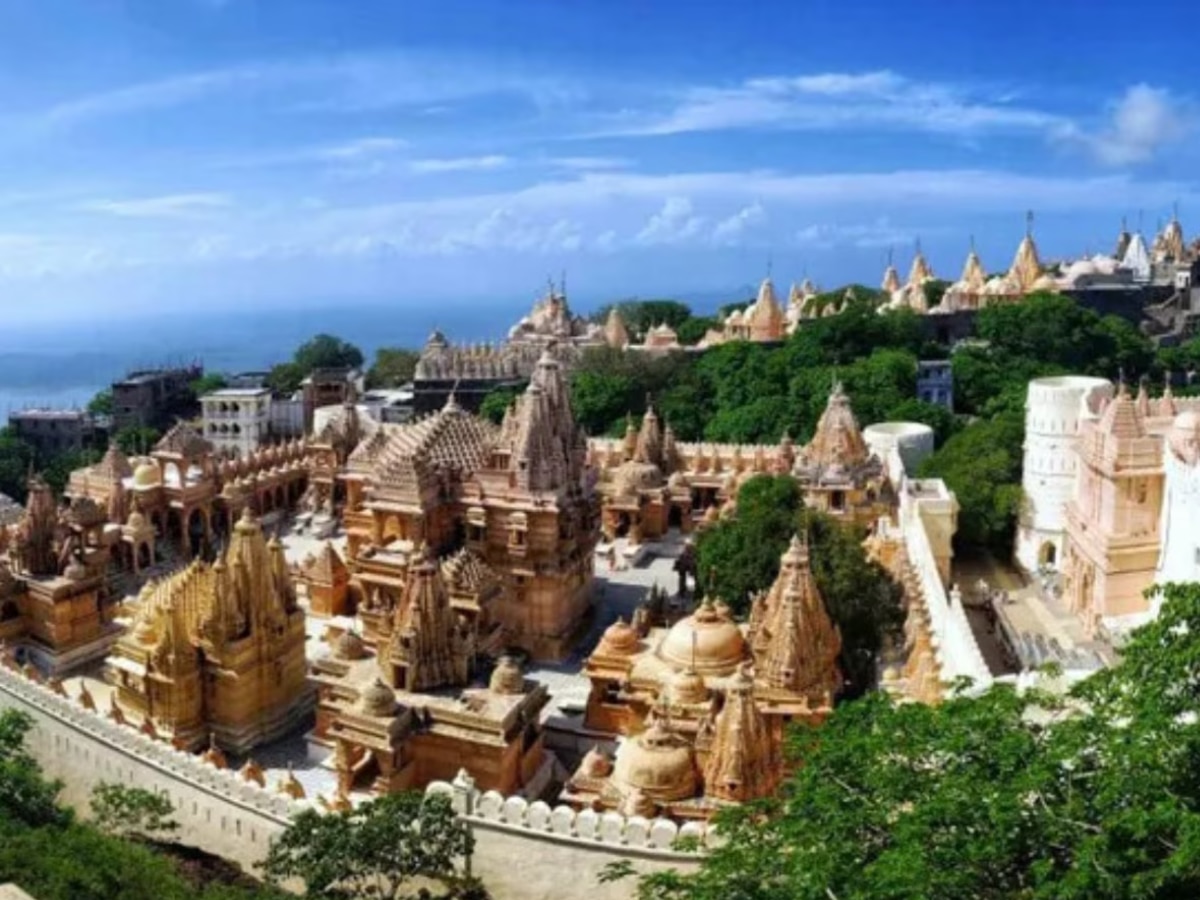 भारतातील एकमेव शहर जिथे मांसाहारी पदार्थ खाणे गुन्हा; अंडी-मासे विकण्यावर बंदी; कोणी नियम तोडला तर...! Indias Vegertarian City Where Non Veg Is Banned Palitana Marathi News