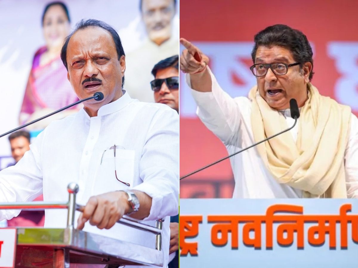 'सध्या काहींना उद्योग नाही, ते उगाच...', अजित पवारांचा राज ठाकरेंना टोला, म्हणाले 'अनेक राज्यात हिंदी...'