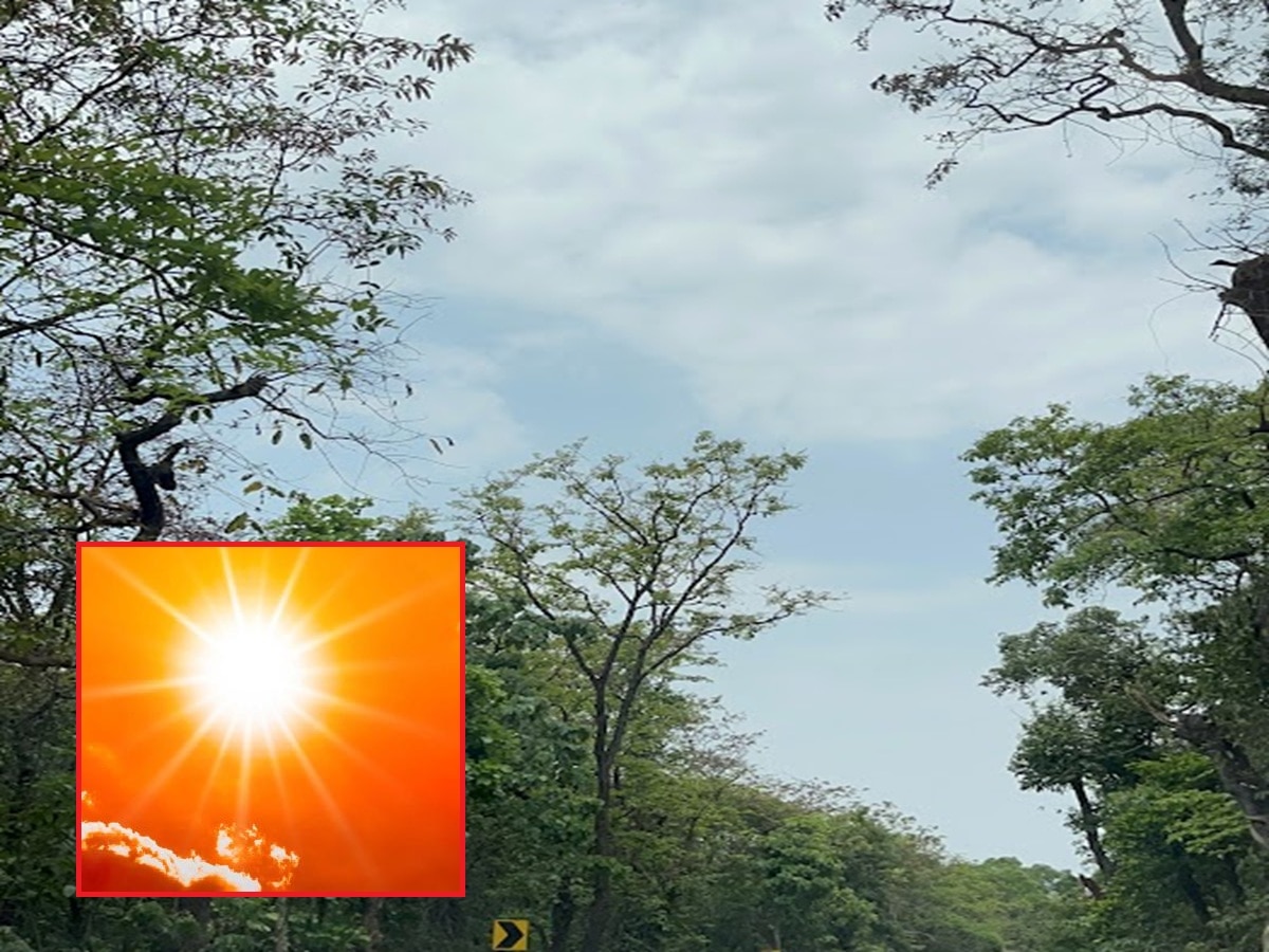 24 तासांत ऊन, वारा, पावसाचा मारा... पाहा मुंबई, रायगड, रत्नागिरीपासून विदर्भापर्यंतचं हवामान वृत्त 
