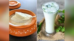उन्हाळ्यात ताक की दही; शरीर थंड ठेवण्यास काय फायदेशीर? 