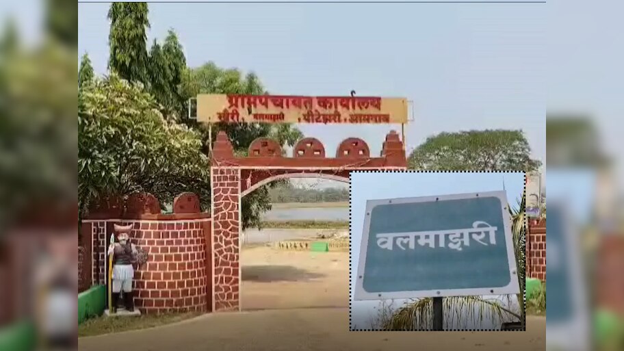 संपूर्ण कुटुंबाला विमानाची सफर, 100 किलो तांदूळ मोफत अन्...; ग्रामपंचायतीची गावकऱ्यांना भन्नाट ऑफर