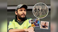 शाहिद आफ्रिदी भारताचा इतका द्वेष का करतो? खरं कारण आलं समोर, भारतीय जवानांनी त्याच्या भावावर...