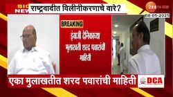राष्ट्रवादीत विलीनीकरणाचे वारे? NCP(SP)चा एक गट अजित पवारांसोबत जाण्यास इच्छुक? 