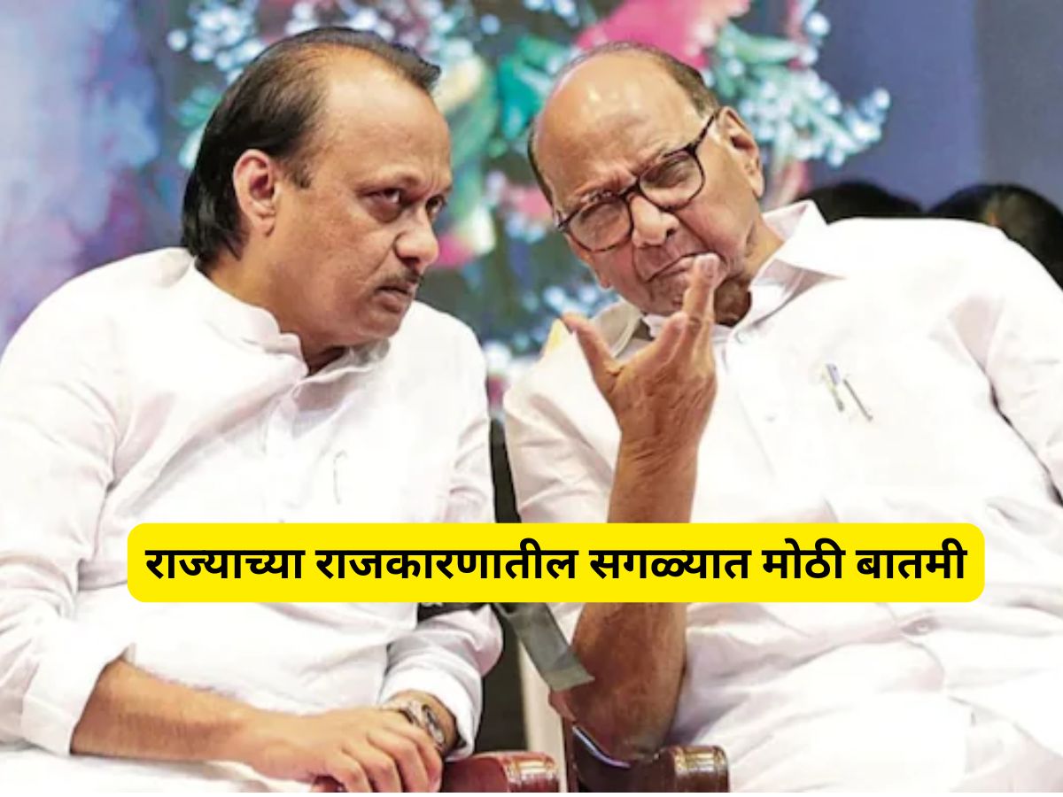 महाराष्ट्राच्या राजकारणात पुन्हा भाकरी फिरणार? शरद पवारांच्या ‘त्या’ वक्तव्यानंतर पुन्हा राजकीय भूकंपाची शक्यता