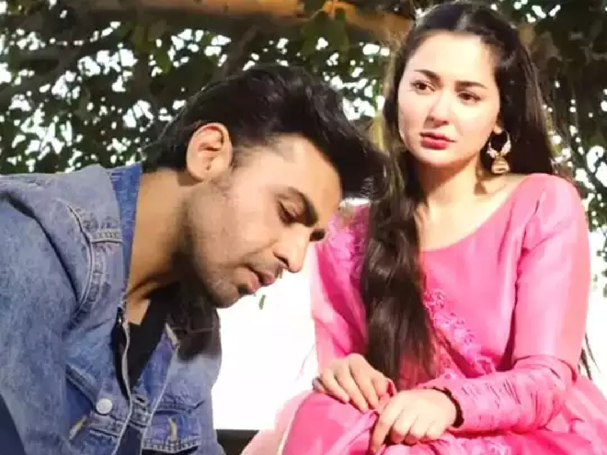 9. मेरे हमसफर